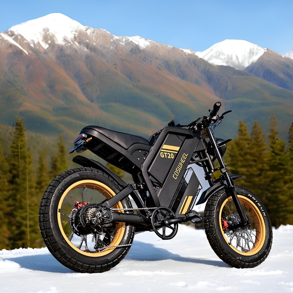 Coswheel Electric bike for Adu - Motorcycle Gear Ratings 리뷰 및 가격